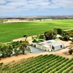 Angas Plains Wines Property view