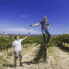 Paxton Wines 2020 'Jones Block' Shiraz (6 Bottles) McLaren Vale - Image 5