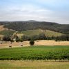 Hirsch Hill Estate Reserve Shiraz 2021 (6 Bottles) Yarra Valley - Image 2
