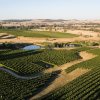 Collector Wines Shoreline Sangiovese Rosé 2023 (6 Bottles), Canberra - Image 2