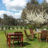 Indigo Vineyard Secret Village Chardonnay 2023 (6 Bottles) Beechworth - Image 2