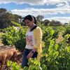 Dandelion Vineyards Lion's Tooth of McLaren Vale Shiraz Riesling 2023 (6 Bottles) McLaren Vale - Image 3