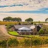 Chapel Hill 2020 Zinfandel (6 Bottles) McLaren Vale - Image 3