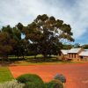 Chapel Hill 2020 Zinfandel (6 Bottles) McLaren Vale - Image 7