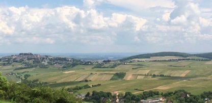 Pascal Jolivet Sancerre (6 Bottles), Loire Valley France - Image 2