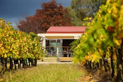 Squitchy Lane 2019 Estate Chardonnay (6 Bottles), Yarra Valley - Image 4