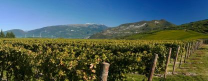 Corte Giara Bardolino DOC 2020 (6 Bottles) Veneto, Italy - Image 5