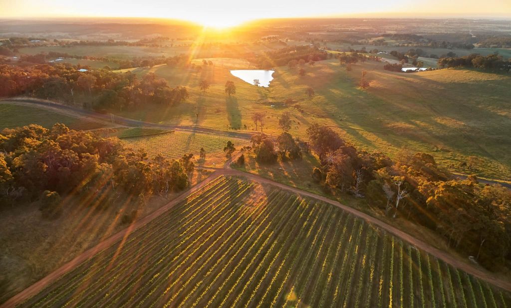 Willow Bridge G.S.M Grenache Shiraz Mataro 2022 (6 Bottles) Geographe ...