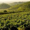 Cantine Pra Soave Classico 'Otto' DOC 2023 (12 Bottles) Veneto, Italy - Image 6