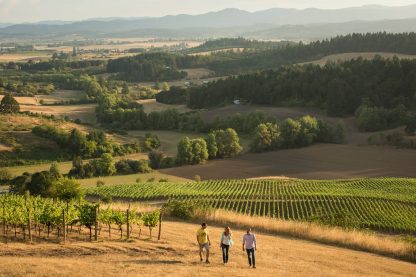 Domaine Nicolas-Jay Willamette Valley Pinot Noir 2016 (3 Bottles) Oregon, USA - Image 2