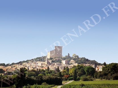 Domaine de Beaurenard Châteauneuf-du-Pape Grenache 2018 Biodynamic (6 Bottles) France - Image 3
