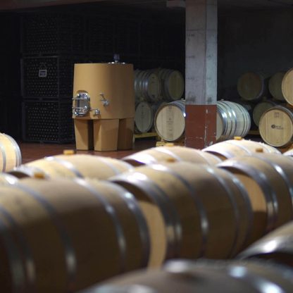 Bodega del Abad Laderas del Norte Mencia 2018 (12 Bottles) Bierzo, Spain - Image 3