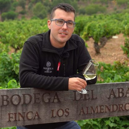 Bodega del Abad Laderas del Norte Mencia 2018 (12 Bottles) Bierzo, Spain - Image 6