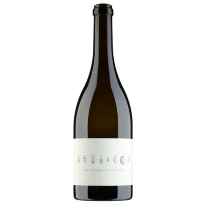 Becker Wines 2021 Manchester Vineyard Pinot Noir (3 Bottles) Pokolbin, Hunter Valley