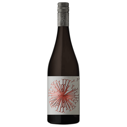 Dandelion Vineyards Treasure Trove McLaren Vale Grenache 2023 (6 Bottles)