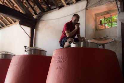 World Wild Wines Definido Tinto 2018 (6 Bottles) Dão, Portugal - Image 4