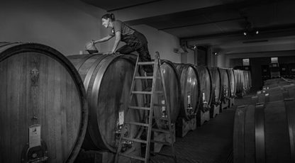 Sara Vezza Barbera d'Alba Superiore Villar'o DOC 2020 (6 Bottles) Monforte d'Alba, Italy - Image 2