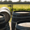 Ten Minutes by Tractor 10X Pinot Noir 2024 (6 Bottles) Mornington Peninsula - Image 4
