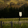 Hart Ye Brave Shiraz 2021 (6 Bottles) Barossa Valley - Image 4