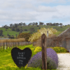 Hart Ye Brave Shiraz 2021 (6 Bottles) Barossa Valley - Image 5