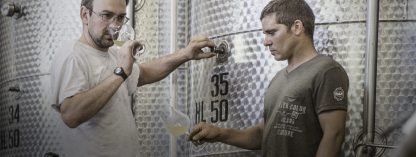 Monte Tondo Mito Soave 2023 (12 Bottles) Soave, Italy - Image 2