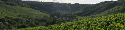 Domaine Delaporte Sancerre Chavignol 2021 (375ml) ( 6 Bottles) Sancerre - Image 5