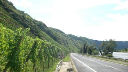 Immich-Batterieberg Riesling 'CAI' 2022 (6 Bottles) Mosel - Image 2