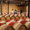 Cape Mentelle ICON Cabernet Sauvignon 2017 (6 Bottles) Margaret River - Image 7