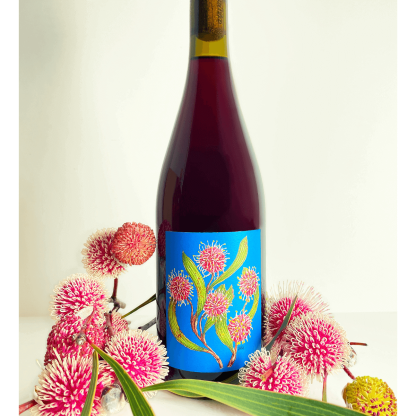 Borachio Garnaxa 2022(12 Bottles) Adelaide Hills