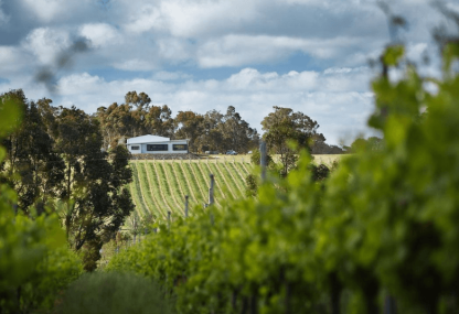 Victory Point The Mallee Root 2021 (12 Bottles) Margaret River - Image 2