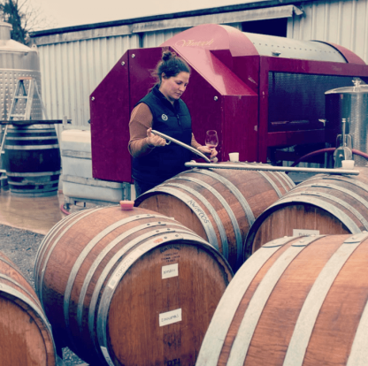 XO Wine Grenache 2022 (6 Bottles) McLaren Vale - Image 5