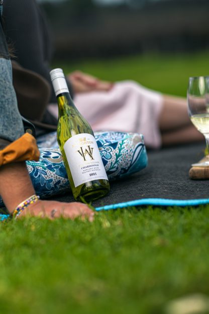 Houghton Premium Chardonnay 2023 (12 Bottles) Margaret River - Image 2