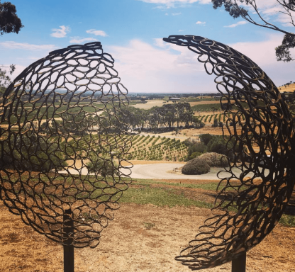 Northern Hope Macedon Ranges Pinot Noir 2019 (6 Bottles) Macedon Ranges, Victoria - Image 5