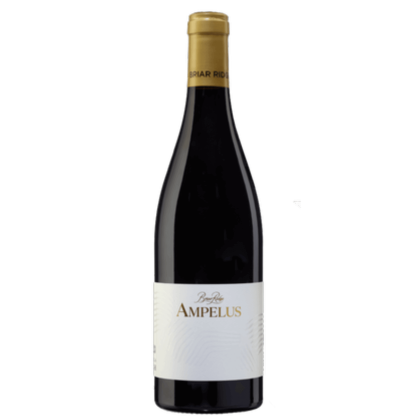 Briar Ridge Ampelus Argilla Syrah 2023 (6 Bottles) Hunter Valley