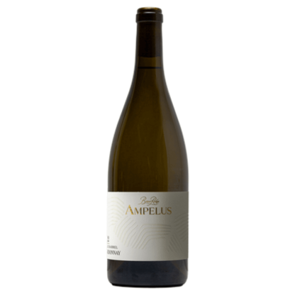 Briar Ridge Ampelus Double Puncheon Chardonnay 2024 (6 Bottles) Hunter Valley