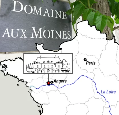 Domaine aux Moines Savennières Roche-aux-Moines 2022 Chenin Blanc (3 Bottles) Montlouis-sur-Loire, France - Image 2