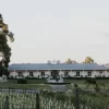 Rob Dolan ‘True Colours’ Chardonnay 2023 (12 Bottles) Yarra Valley - Image 6