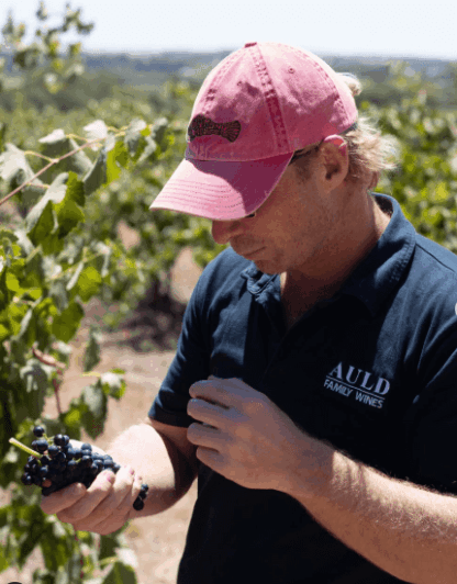 Auld Family Wilberforce Cabernet Shiraz 2021 (12 Bottles) Barossa Valley - Image 3