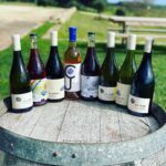 Cape Jaffa Wines