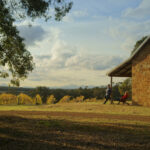 shephard's hut wines